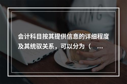 会计科目按其提供信息的详细程度及其统驭关系，可以分为（　　）