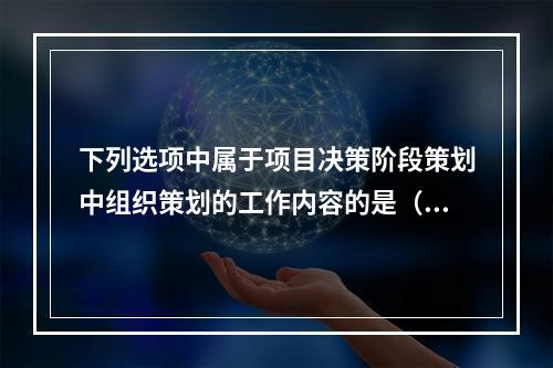 下列选项中属于项目决策阶段策划中组织策划的工作内容的是（　）