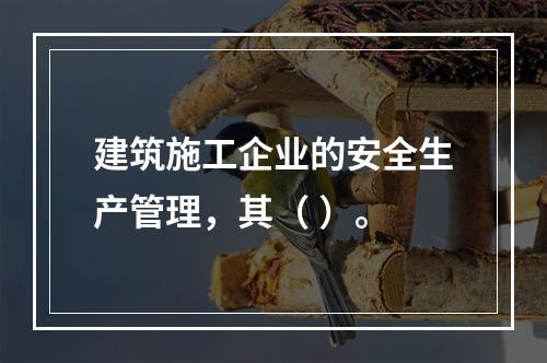 建筑施工企业的安全生产管理，其（ ）。