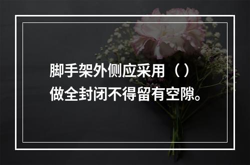 脚手架外侧应采用（ ）做全封闭不得留有空隙。