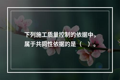 下列施工质量控制的依据中，属于共同性依据的是（　）。