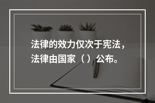 法律的效力仅次于宪法，法律由国家（ ）公布。