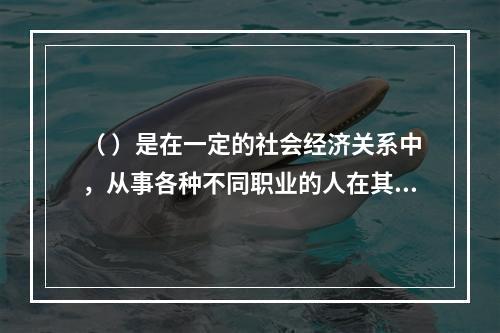 （ ）是在一定的社会经济关系中，从事各种不同职业的人在其特定