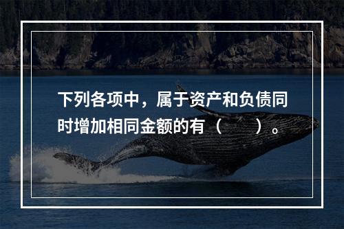 下列各项中，属于资产和负债同时增加相同金额的有（　　）。