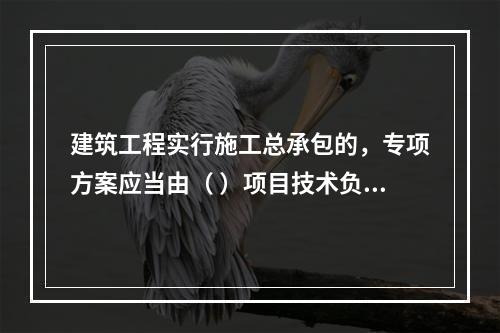 建筑工程实行施工总承包的，专项方案应当由（ ）项目技术负责人