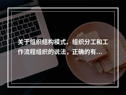 关于组织结构模式、组织分工和工作流程组织的说法，正确的有（　