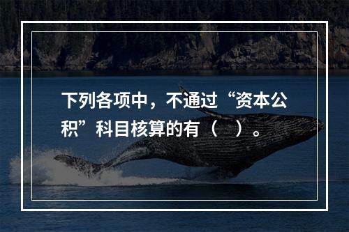 下列各项中，不通过“资本公积”科目核算的有（　）。