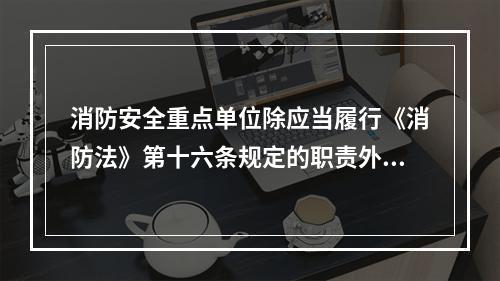 消防安全重点单位除应当履行《消防法》第十六条规定的职责外，还