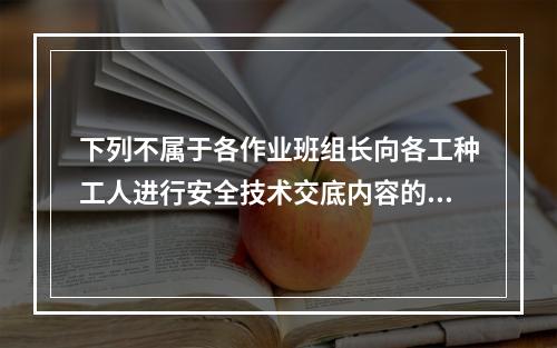 下列不属于各作业班组长向各工种工人进行安全技术交底内容的是（