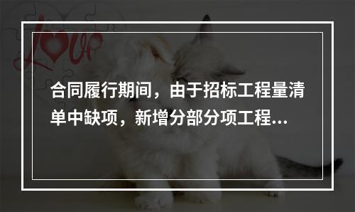 合同履行期间，由于招标工程量清单中缺项，新增分部分项工程清单