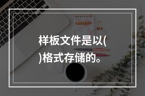 样板文件是以()格式存储的。