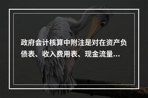 政府会计核算中附注是对在资产负债表、收入费用表、现金流量表等