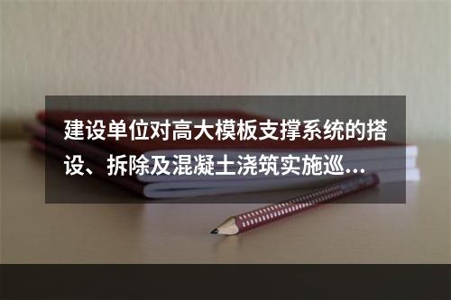 建设单位对高大模板支撑系统的搭设、拆除及混凝土浇筑实施巡查，