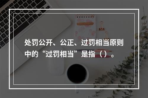 处罚公开、公正、过罚相当原则中的“过罚相当”是指（ ）。