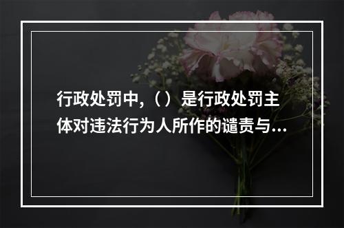 行政处罚中,（ ）是行政处罚主体对违法行为人所作的谴责与告诫