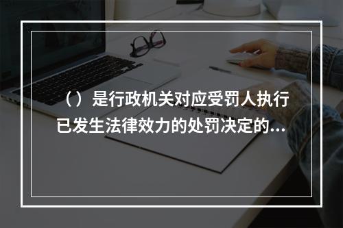 （ ）是行政机关对应受罚人执行已发生法律效力的处罚决定的程序