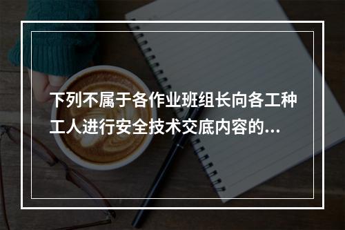 下列不属于各作业班组长向各工种工人进行安全技术交底内容的是（