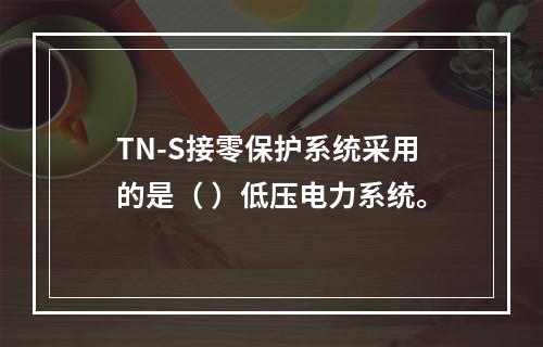 TN-S接零保护系统采用的是（ ）低压电力系统。