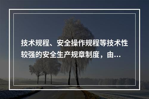 技术规程、安全操作规程等技术性较强的安全生产规章制度，由（