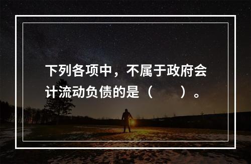 下列各项中，不属于政府会计流动负债的是（　　）。