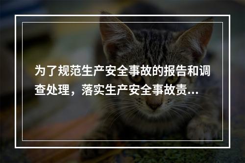 为了规范生产安全事故的报告和调查处理，落实生产安全事故责任追