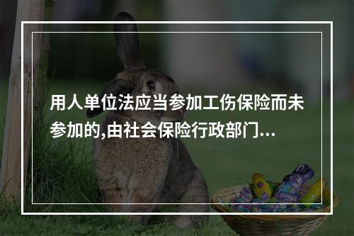 用人单位法应当参加工伤保险而未参加的,由社会保险行政部门责令