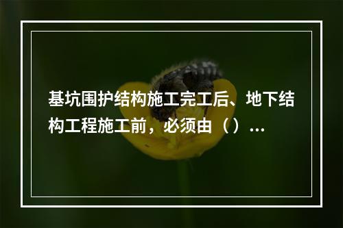 基坑围护结构施工完工后、地下结构工程施工前，必须由（ ）单位