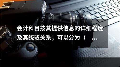 会计科目按其提供信息的详细程度及其统驭关系，可以分为（　　）