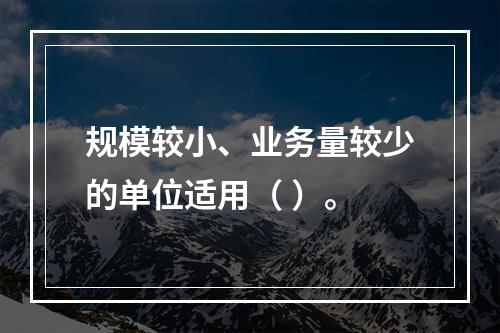 规模较小、业务量较少的单位适用（ ）。