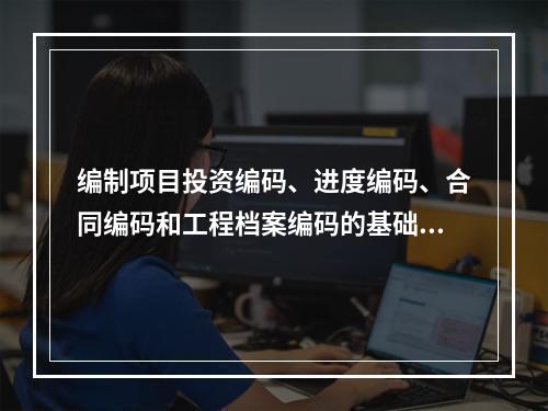 编制项目投资编码、进度编码、合同编码和工程档案编码的基础是（