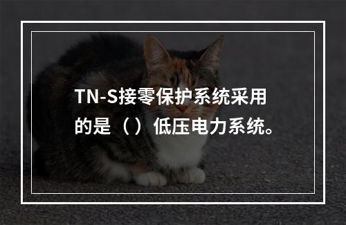 TN-S接零保护系统采用的是（ ）低压电力系统。