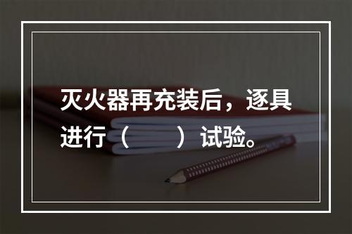 灭火器再充装后，逐具进行（  ）试验。