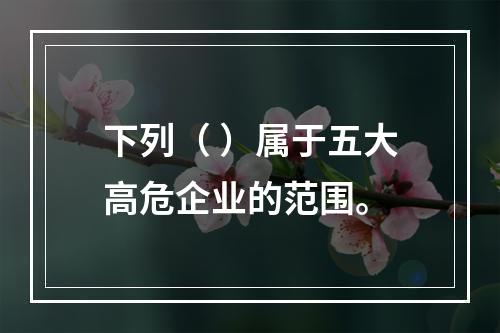 下列（ ）属于五大高危企业的范围。