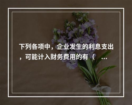 下列各项中，企业发生的利息支出，可能计入财务费用的有（　）。