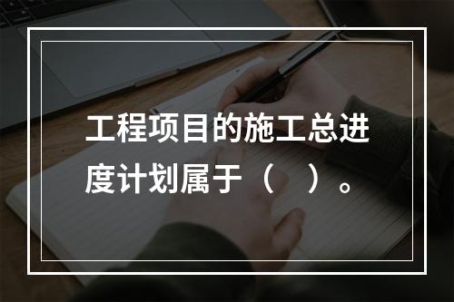 工程项目的施工总进度计划属于（　）。