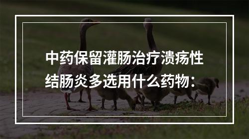 中药保留灌肠治疗溃疡性结肠炎多选用什么药物：