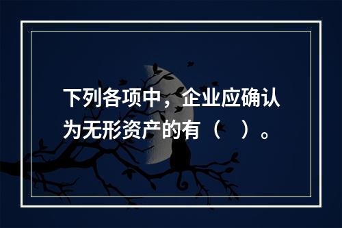 下列各项中，企业应确认为无形资产的有（　）。