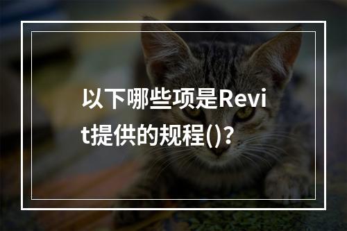 以下哪些项是Revit提供的规程()？