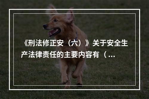 《刑法修正安（六）》关于安全生产法律责任的主要内容有（ ）。