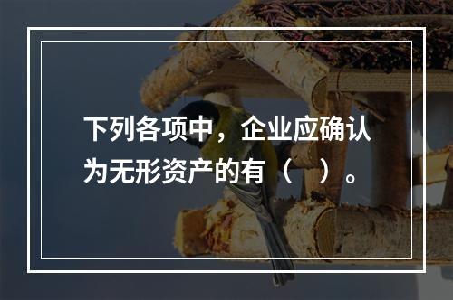 下列各项中，企业应确认为无形资产的有（　）。