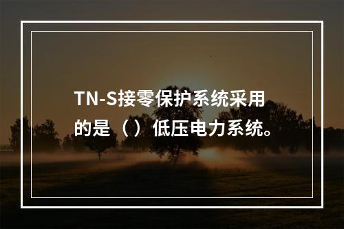 TN-S接零保护系统采用的是（ ）低压电力系统。