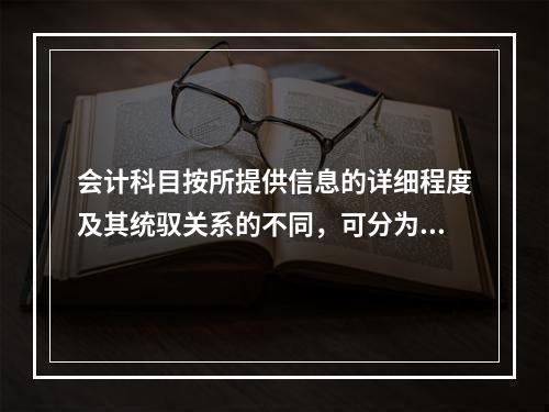 会计科目按所提供信息的详细程度及其统驭关系的不同，可分为（