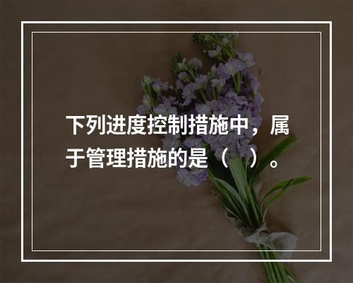 下列进度控制措施中，属于管理措施的是（　）。