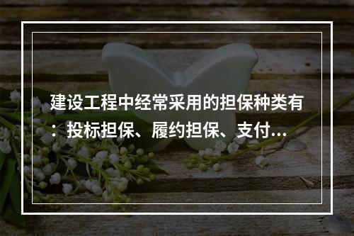 建设工程中经常采用的担保种类有：投标担保、履约担保、支付担保