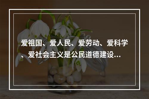 爱祖国、爱人民、爱劳动、爱科学、爱社会主义是公民道德建设的（