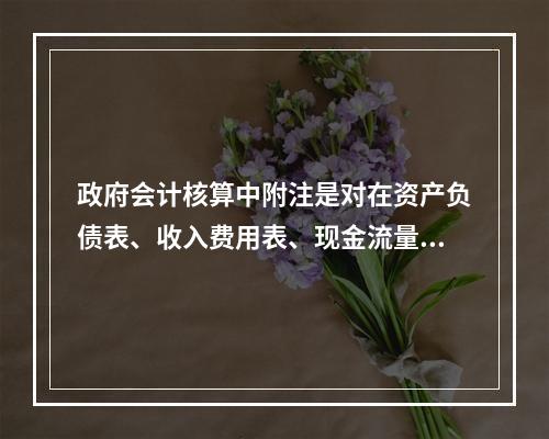 政府会计核算中附注是对在资产负债表、收入费用表、现金流量表等