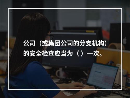 公司（或集团公司的分支机构）的安全检查应当为（ ）一次。