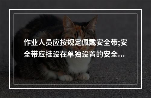 作业人员应按规定佩戴安全带;安全带应挂设在单独设置的安全绳上