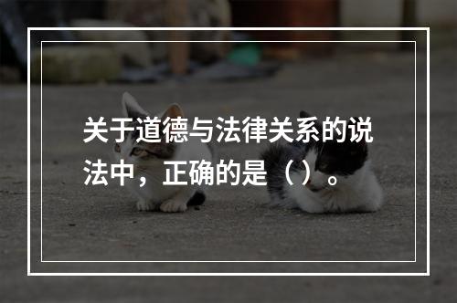 关于道德与法律关系的说法中，正确的是（ ）。