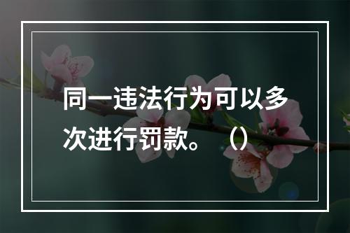 同一违法行为可以多次进行罚款。（）